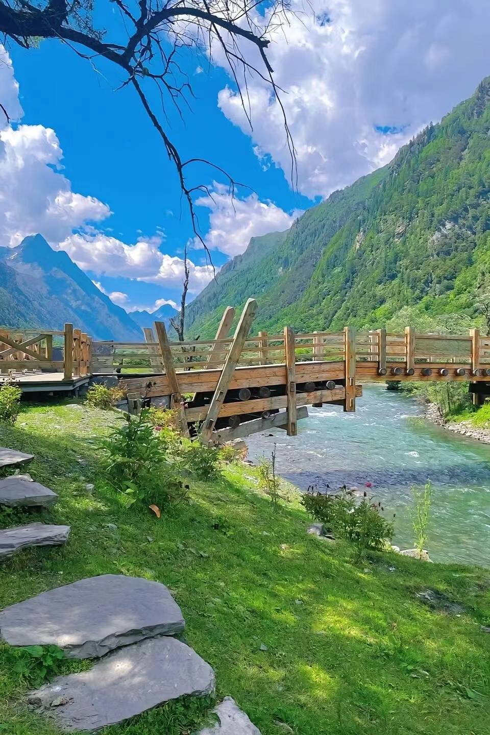 厦门至四川旅游报团价格全解析 团费多少？魅力旅行如何不踩坑？
